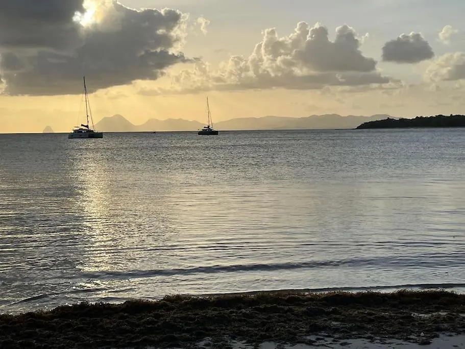 Apartmán Cosy T3 Au Coeur De Sainte Anne Sainte-Anne
