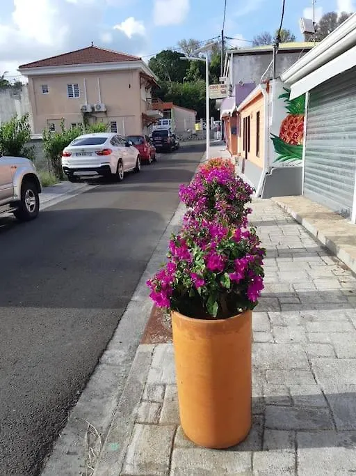 Apartmán Cosy T3 Au Coeur De Sainte Anne