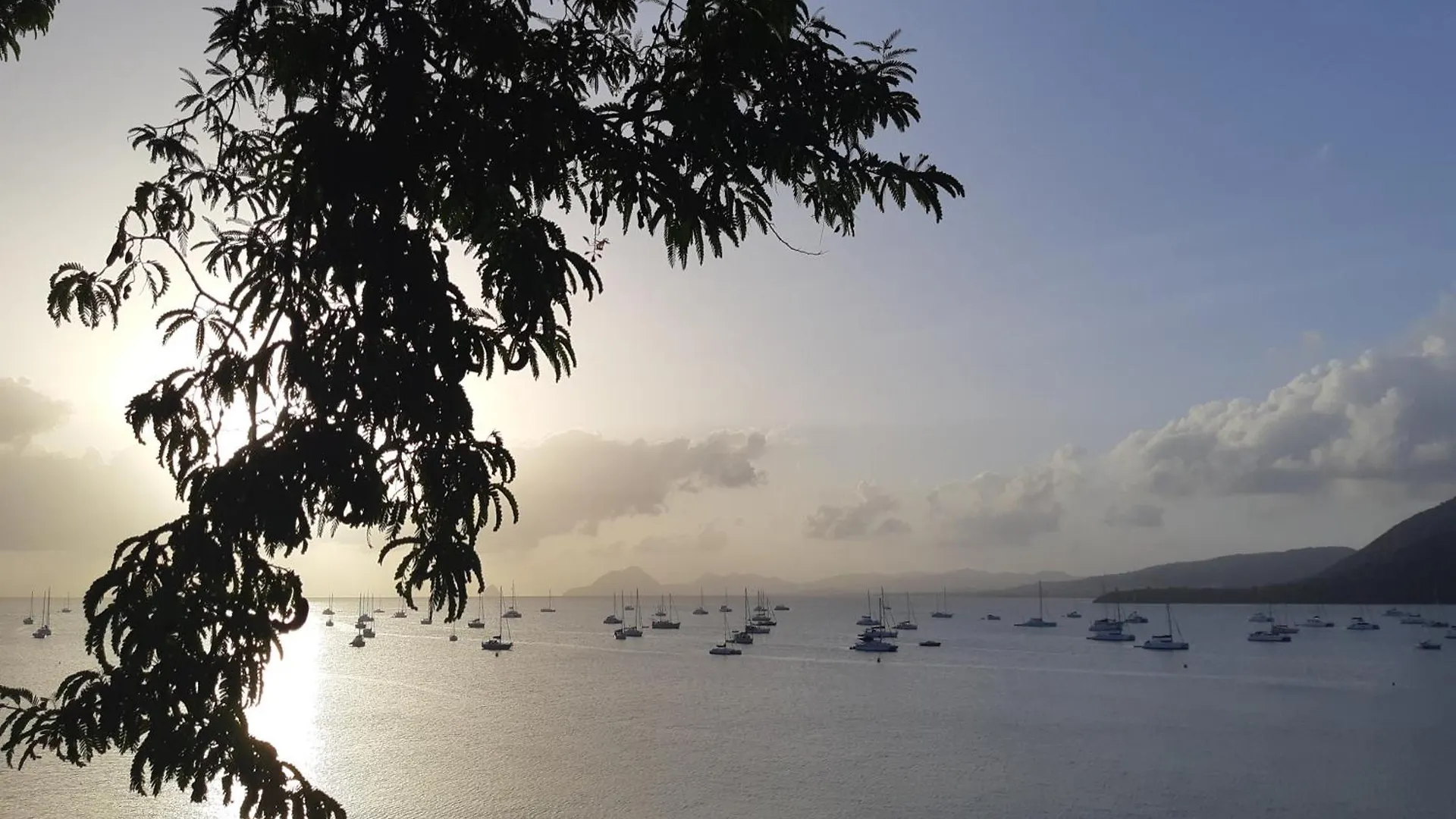 Apartmán Cosy T3 Au Coeur De Sainte Anne